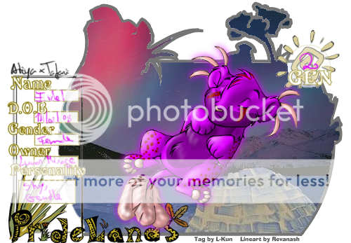 User Image
